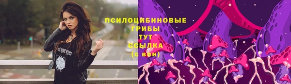 прущие крисы Приозерск