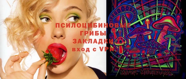 гидропоника Абдулино