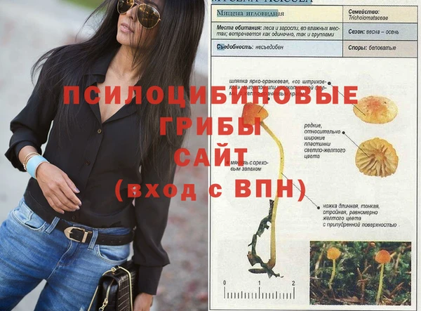 таблы Абаза