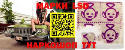 шишки Белореченск