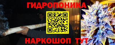 меф Бердск