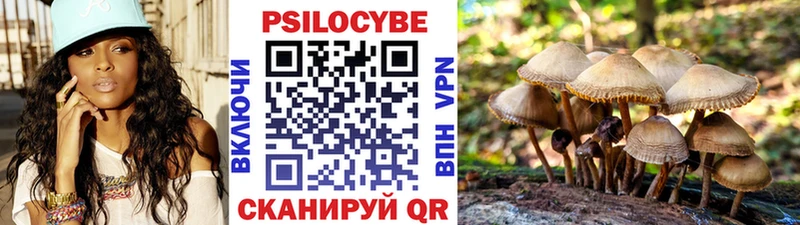 кракен маркетплейс  Богородицк  Псилоцибиновые грибы Psilocybine cubensis 
