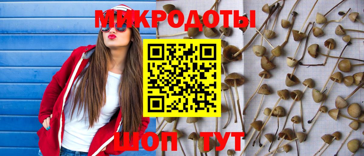 Псилоцибиновые грибы мицелий Богородицк